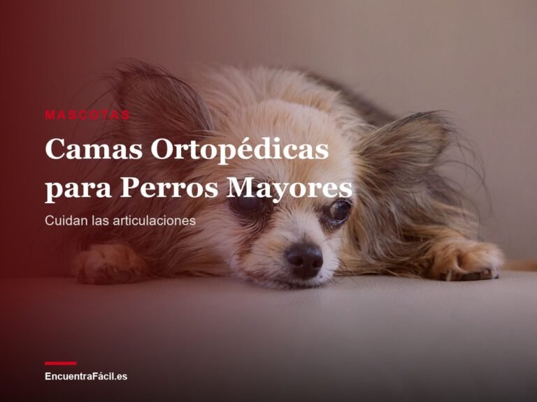Camas Ortopédicas para Perros Mayores: ¿Cuál Alivia Mejor las Articulaciones?