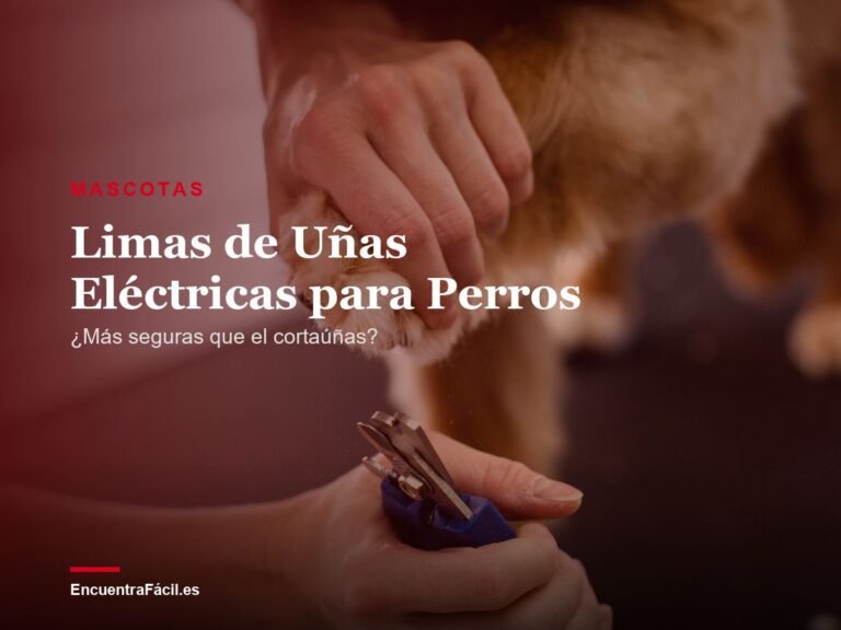 Limas de Uñas Eléctricas para Perros: ¿Son Más Seguras que el Cortaúñas Tradicional?