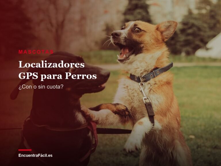 Localizadores GPS para Perros: Tractive, Weenect o AirTag
