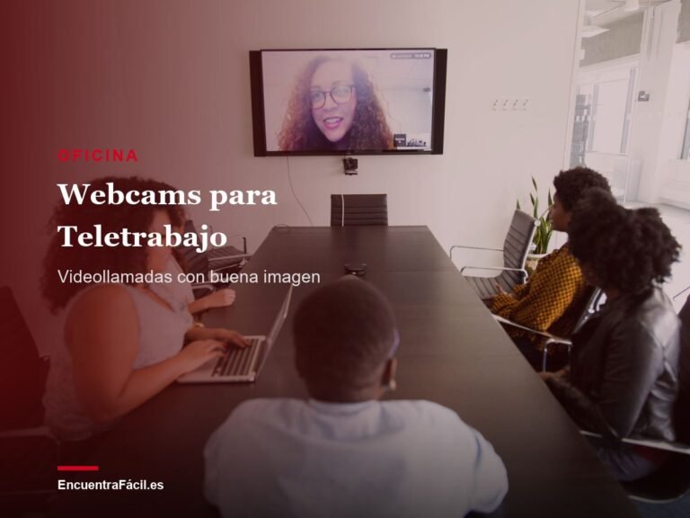 Webcams para Teletrabajo: Logitech C920, Brio 500 o Anker C200